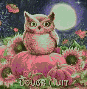 gif bonne nuit hiboux